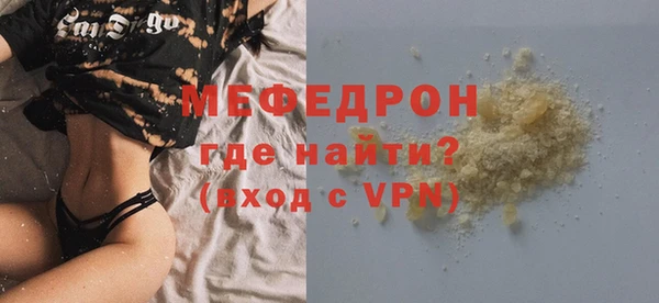 индика Ельня