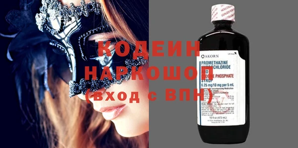 индика Ельня