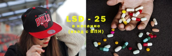 индика Ельня