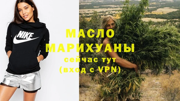 индика Ельня