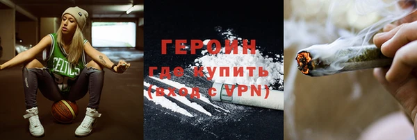 индика Ельня