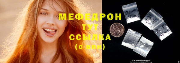 индика Ельня