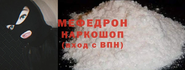индика Ельня