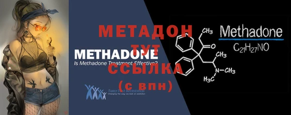 индика Ельня