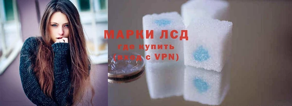 индика Ельня