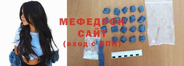 индика Гусев