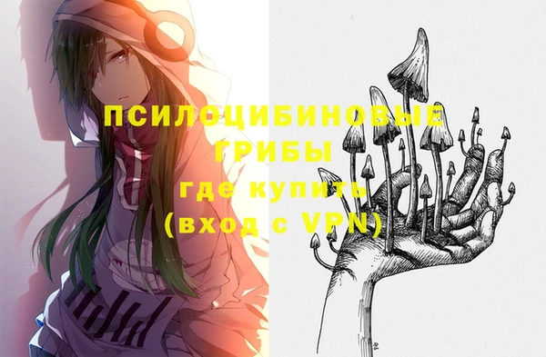 mdpv Елизово