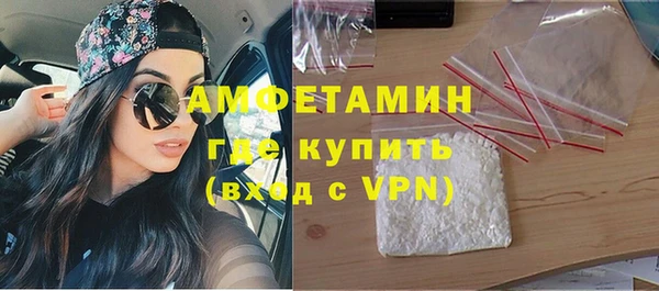 индика Ельня