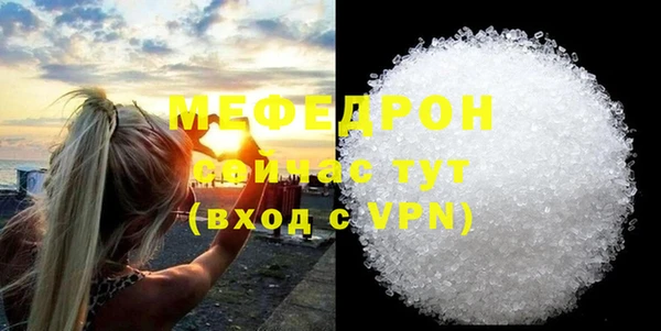индика Ельня