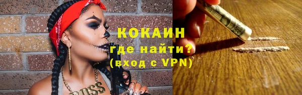 индика Ельня