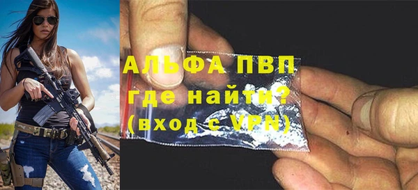 индика Ельня