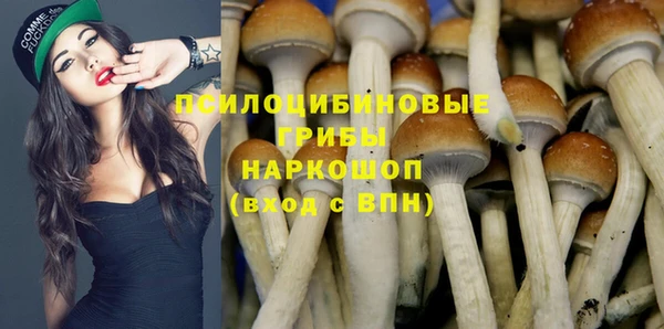 mdpv Елизово