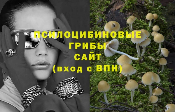 стафф Елабуга