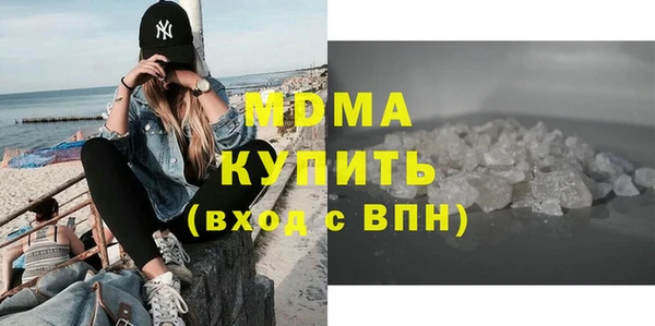 индика Ельня