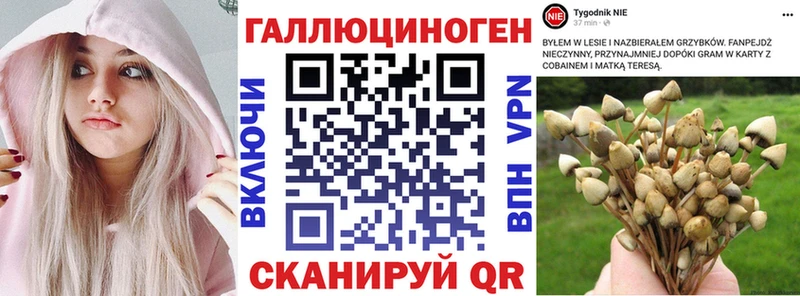 Псилоцибиновые грибы мицелий  Сасово 