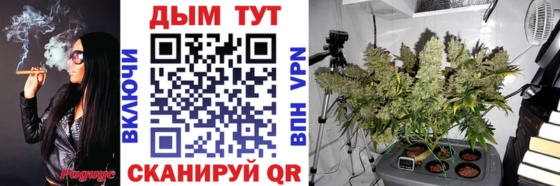 Бошки Шишки сатива Сасово